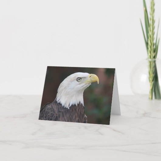 Bald Eagle Photo Folded Note Kaart (Voorkant)