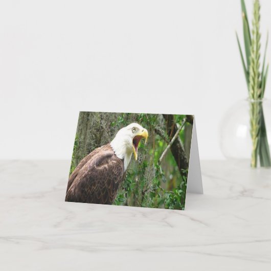 Bald Eagle Photo Folded Note Kaart (Voorkant)
