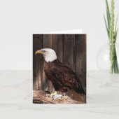 Bald Eagle Photo Folded Note Kaart (Voorkant)