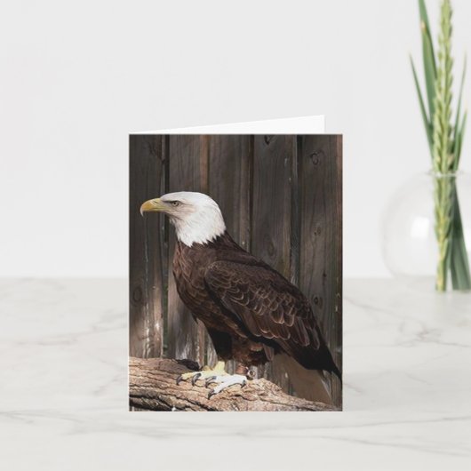 Bald Eagle Photo Folded Note Kaart (Voorkant)