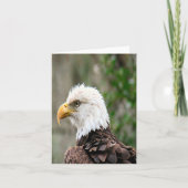 Bald Eagle Photo Folded Note Kaart (Voorkant)