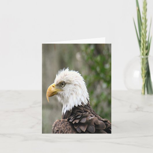 Bald Eagle Photo Folded Note Kaart (Voorkant)