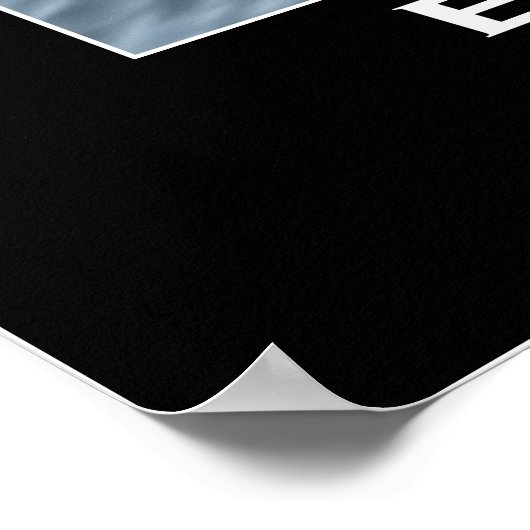 Bald Eagle Photo Poster (Hoek)