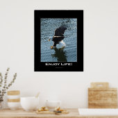 Bald Eagle Photo Poster (Keuken)