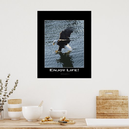 Bald Eagle Photo Poster (Keuken)