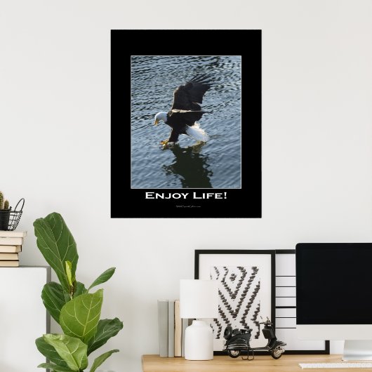 Bald Eagle Photo Poster (Thuiskantoor)