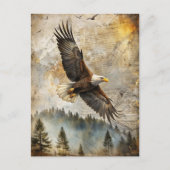 Bald Eagle Pine Forest  Natuur Wildlife Briefkaart (Voorkant)