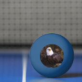 Bald Eagle Pingpongbal (Net)