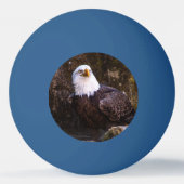 Bald Eagle Pingpongbal (Voorkant)
