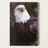 Bald Eagle Planner (Achterkant)