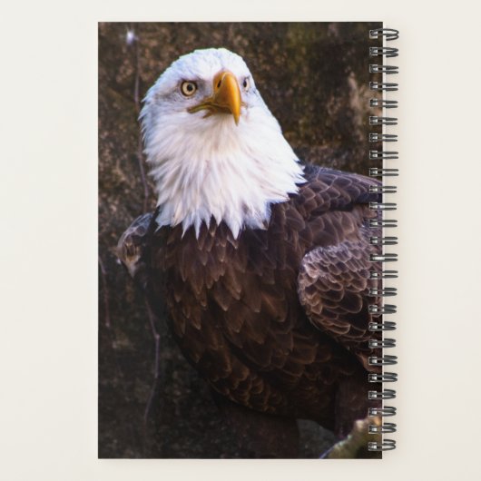 Bald Eagle Planner (Achterkant)