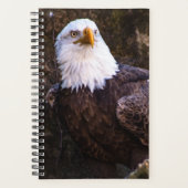 Bald Eagle Planner (Voorkant)