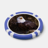 Bald Eagle Poker Chips (Enkel)