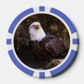 Bald Eagle Poker Chips (Voorkant)