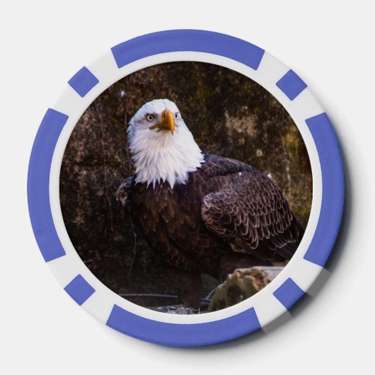 Bald Eagle Poker Chips (Achterkant)