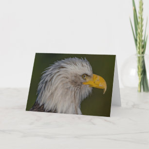 Bald Eagle Portait Hartelijk dank Bedankkaart