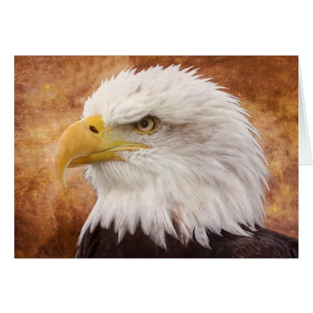 Bald Eagle Portrait (Voorkant Horizontaal)