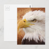 Bald Eagle Portrait Briefkaart (Voorkant / Achterkant)