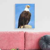 Bald Eagle Portrait Canvas Wrap (Insitu (Woonkamer))