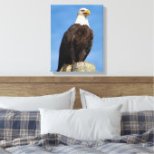 Bald Eagle Portrait Canvas Wrap Afdruk (Insitu (Slaapkamer))
