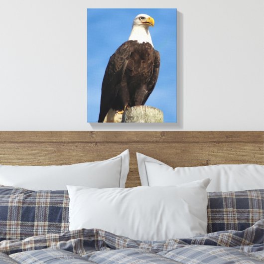 Bald Eagle Portrait Canvas Wrap Afdruk (Insitu (Slaapkamer))