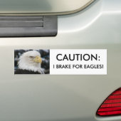 Bald Eagle Portrait Foto Bumpersticker (Op auto)