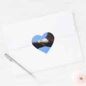 Bald Eagle Portrait Hart Sticker (Envelop)