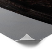 Bald Eagle Portrait in the Snow, Haliaeetus Poster (Hoek)