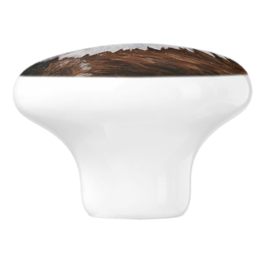 Bald Eagle Portrait Keramische Knop (Zijkant)