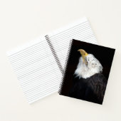 Bald Eagle Portrait Notitieboek (Binnen)