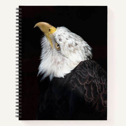 Bald Eagle Portrait Notitieboek (Voorkant)