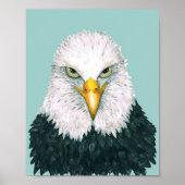 Bald Eagle Portrait Poster (Voorkant)