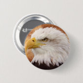 Bald Eagle Portrait Ronde Button 5,7 Cm (Voorkant /achterkant)