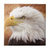 Bald Eagle Portrait Tegeltje (Voorkant)