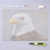 Bald Eagle Portrait Tissuepapier (Craft)