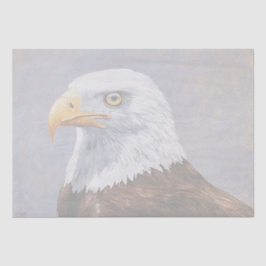 Bald Eagle Portrait Tissuepapier (Voorkant)