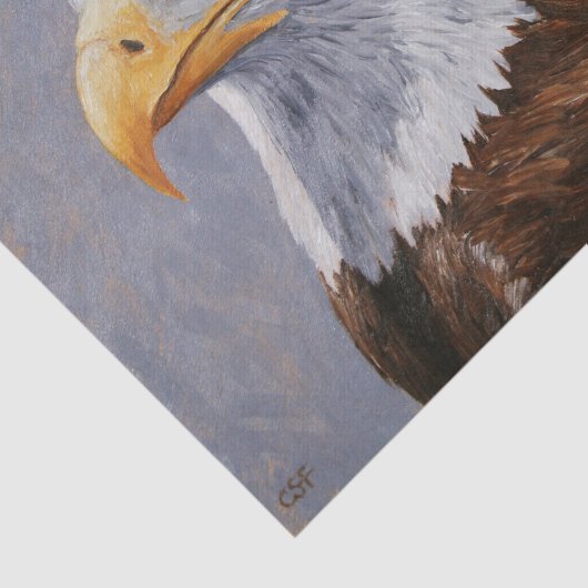 Bald Eagle Portrait Tissuepapier (Detail)