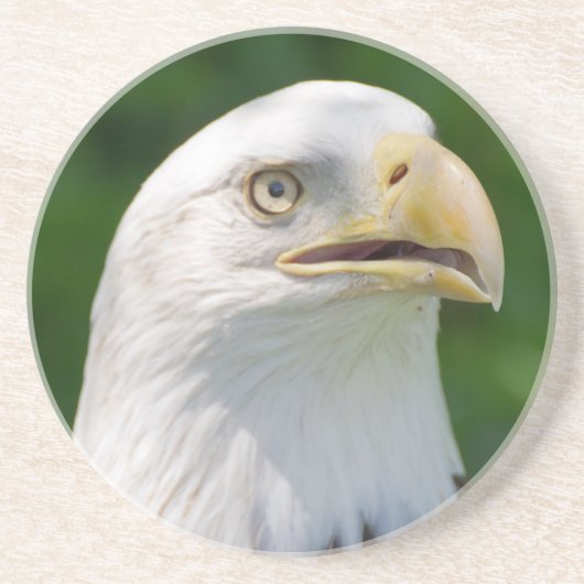 Bald Eagle Portrait Zandsteen Onderzetter (Voorkant)