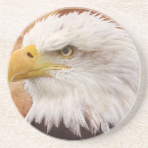 Bald Eagle Portrait Zandsteen Onderzetter