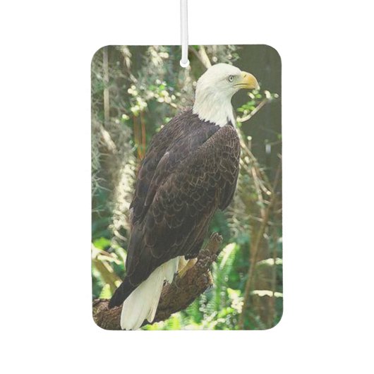 Bald Eagle Portret Rectangle Air Freshener Luchtverfrisser (Voorkant)