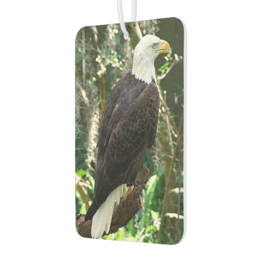 Bald Eagle Portret Rectangle Air Freshener Luchtverfrisser (Links)