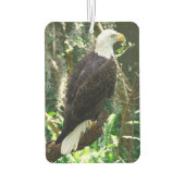 Bald Eagle Portret Rectangle Air Freshener Luchtverfrisser (Achterkant)