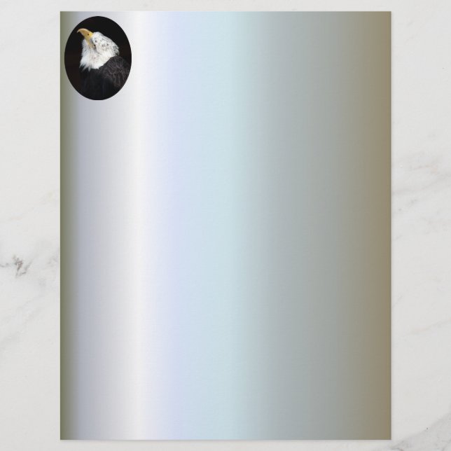 Bald Eagle Portriat (Voorkant)