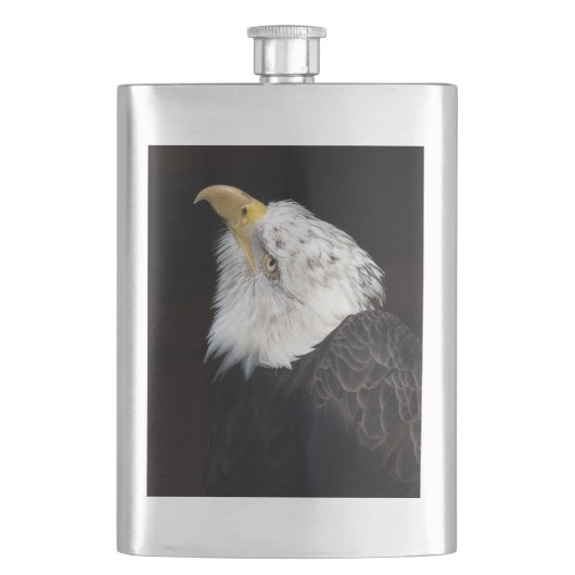 Bald Eagle Portriat Flacon (Voorkant)