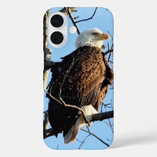 Bald Eagle Pose Case-Mate iPhone Case (Achterkant)
