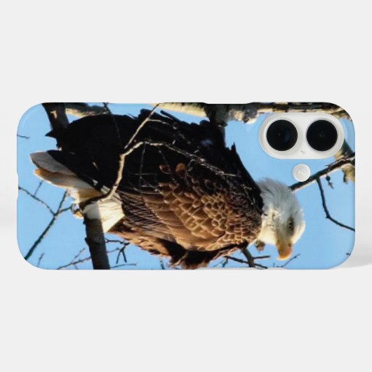 Bald Eagle Pose Case-Mate iPhone Case (Achterkant (horizontaal))