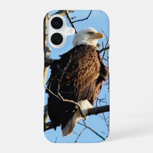 Bald Eagle Pose iPhone 16 Hoesje (Achterkant)