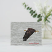 Bald Eagle Post Card Briefkaart (Staand voorkant)