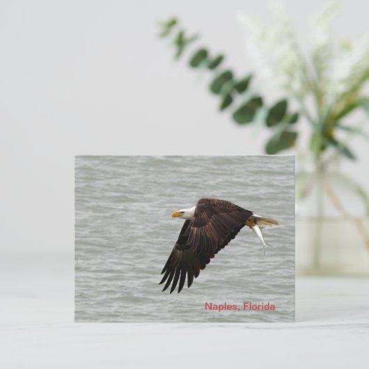 Bald Eagle Post Card Briefkaart (Staand voorkant)