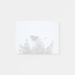 Bald Eagle Post-it® Notes